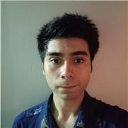 Licenciado en literatura y lingüística ofrece dar clases de manera online (de preferencia) o presencial